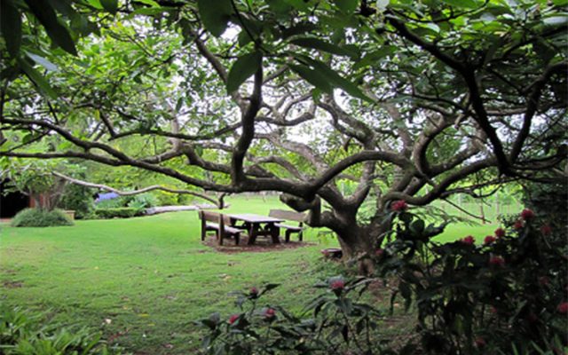 Mount Tamborine, Gold Coast