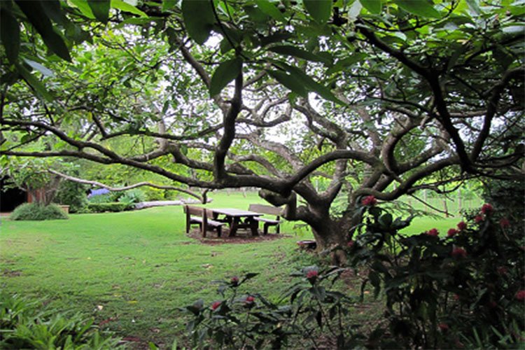 Mount Tamborine, Gold Coast