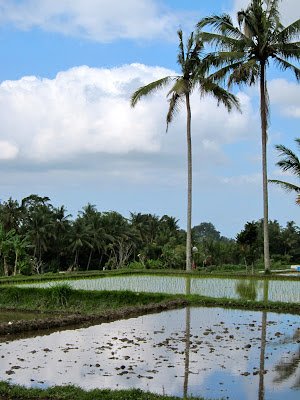 UmaJati Retreat, Petulu, Ubud, Bali, Indonesia, accommodation, where to stay