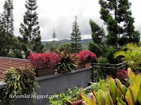 Cameron Highlands Resort, Malaysia