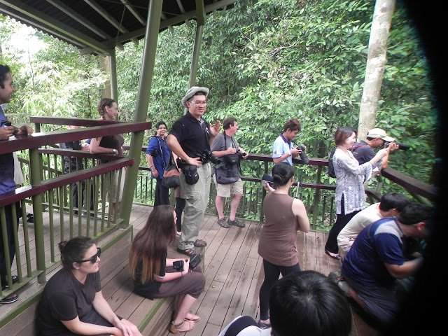 Won Te Siew, Founder of the Bornean Sun Bear Conservation Centre