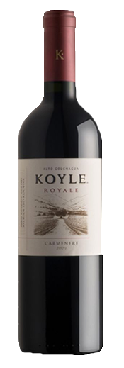 Chilean Carmenere, Chilean red wine, best Chilean wine