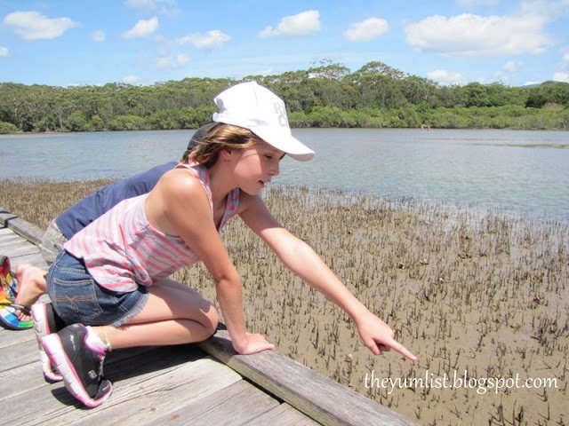 Best food in Coffs Harbour, Belligen, best cafe, best restaurant, best breakfast, organic, local