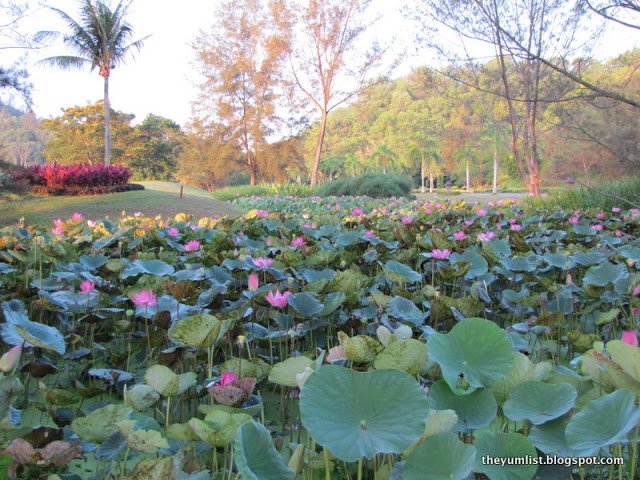 Things to Do at Rasa Ria by Shangri-La, Kota Kinabalu, Sabah, Borneo, Malaysia