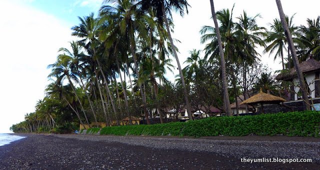 Tembok Bali Spa Village, YTL