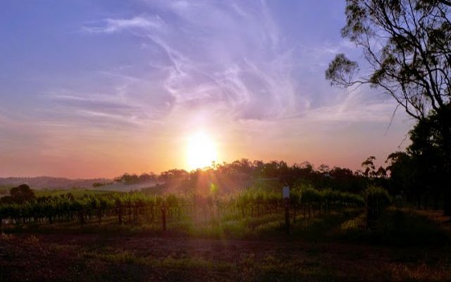 South Australian Tourism