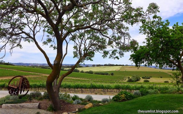 South Australian Wine