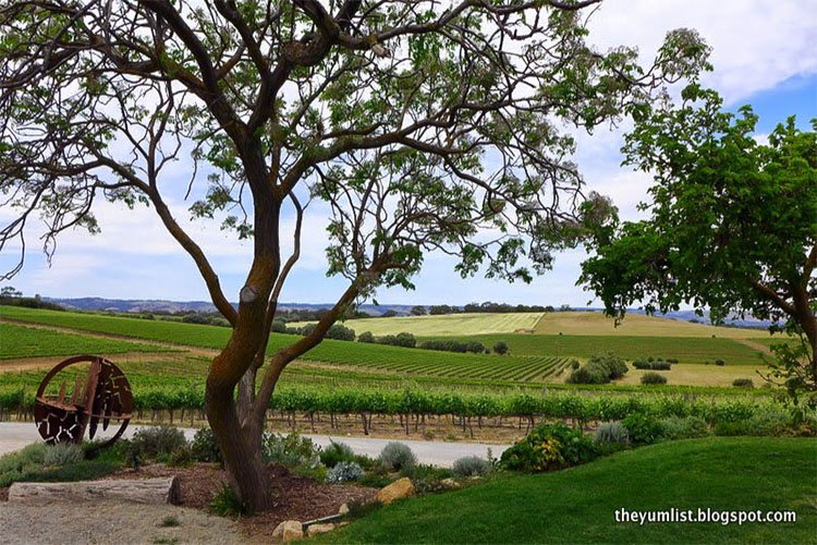 South Australian Wine