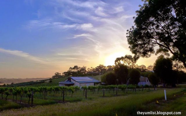 accommodation Barossa Valley