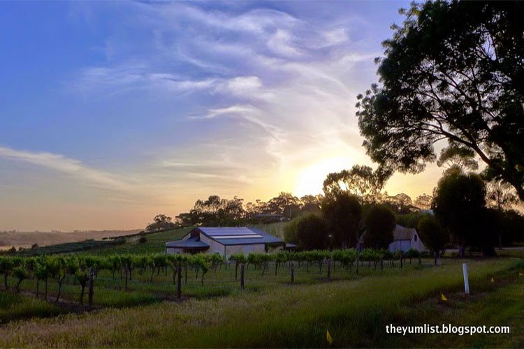 accommodation Barossa Valley