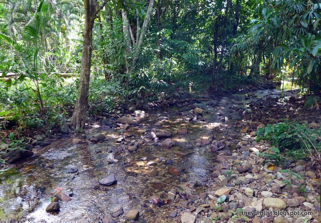 Malaysian spa