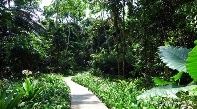 datai langkawi