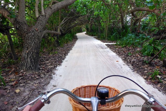 cycling between tropical trees