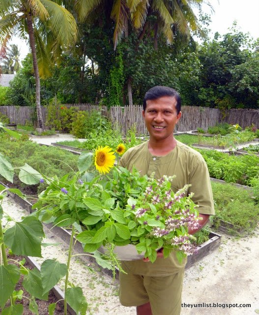Gili Lankanfushi, Maldives organic garden