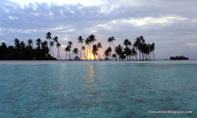 Gili Lankanfushi, Maldives sunset behind palm trees