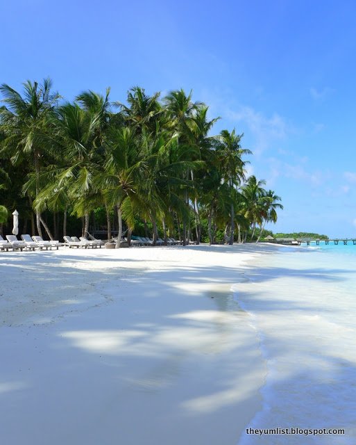 Gili Lankanfushi, Maldives