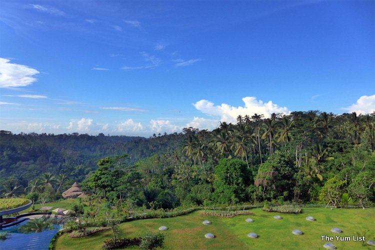 views in Ubud