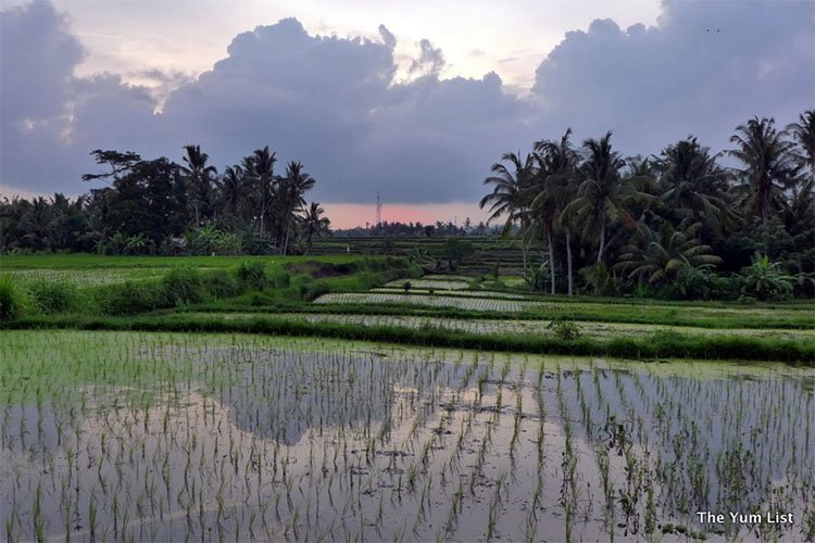 luxury spas in bali