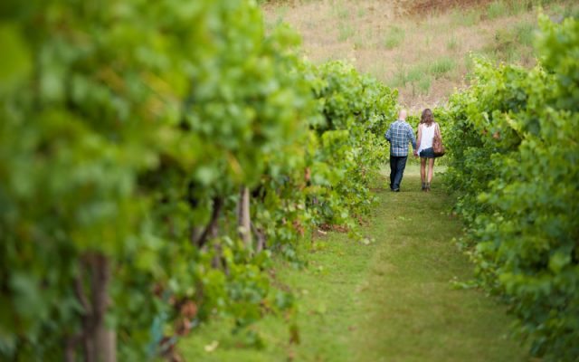 Canberra Pinot Noir