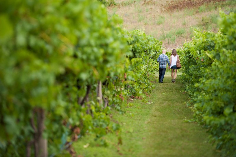 Canberra Pinot Noir