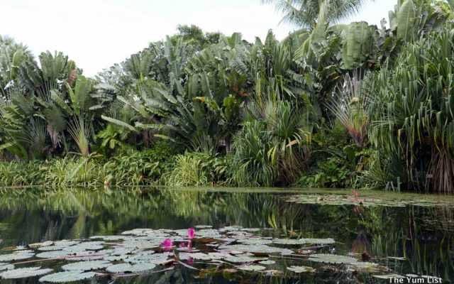 Black Ginger, Thai Restaurant, Fine Dining Phuket