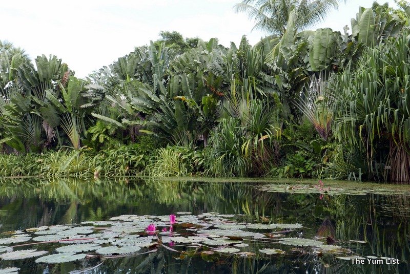 Black Ginger, Thai Restaurant, Fine Dining Phuket