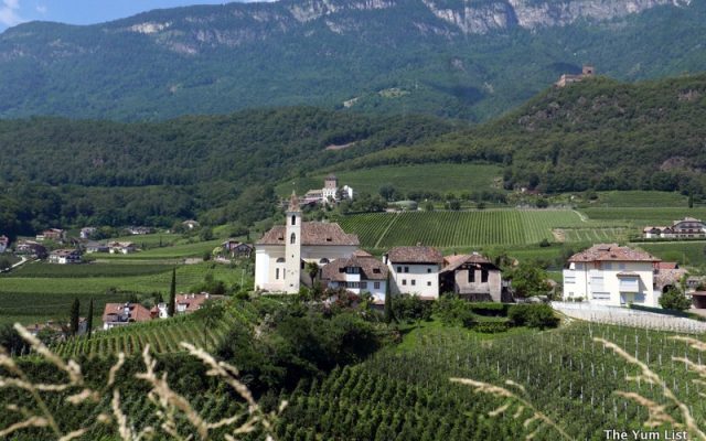 St. Pauls Wine, South Tyrol