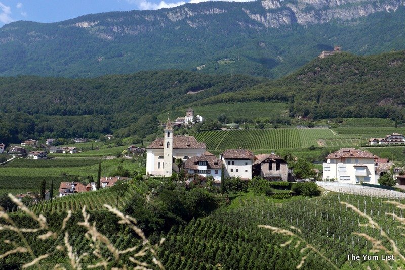 St. Pauls Wine, South Tyrol