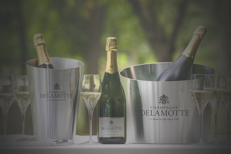 Champagne Salon & Champagne Delamotte