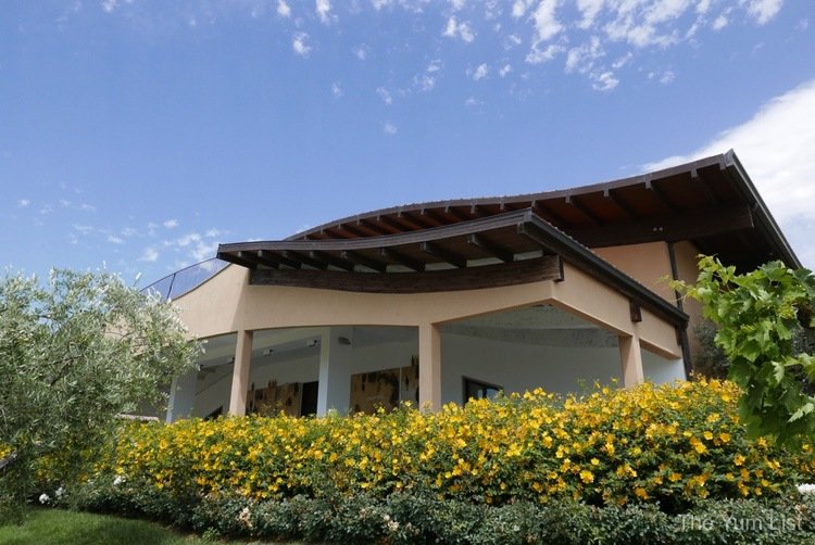 Cantina Zaccagnini, winery, Abruzzo, Italy