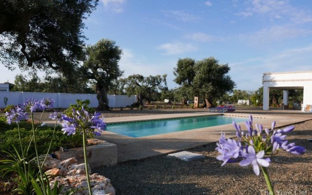 Twin Geckos Villa, Ostuni, Apulia