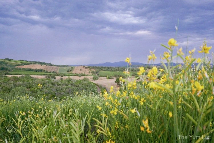 Rocca di Frassinello, Maremma Toscana