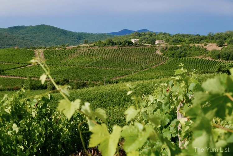 Rocca di Frassinello, Marrema Tuscany