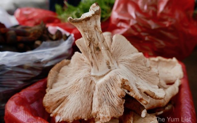 Wild Mushroom Market Kunming