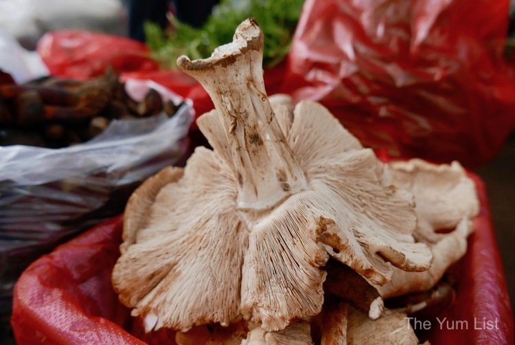 Wild Mushroom Market Kunming