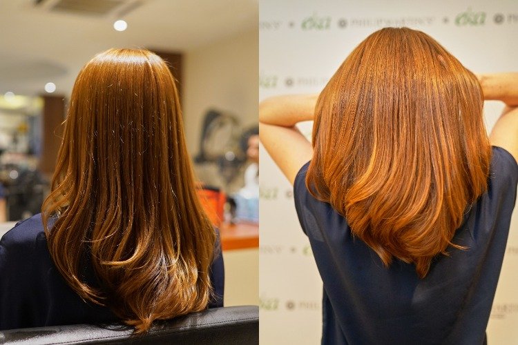 Organic Hair Colour Bangsar Kuala Lumpur