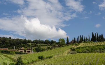 Agricola Querciabella Tuscany