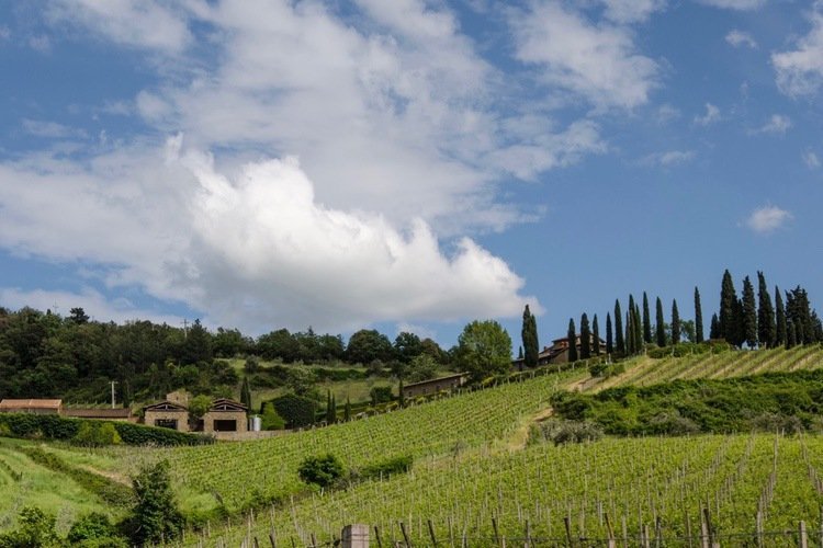 Agricola Querciabella Tuscany