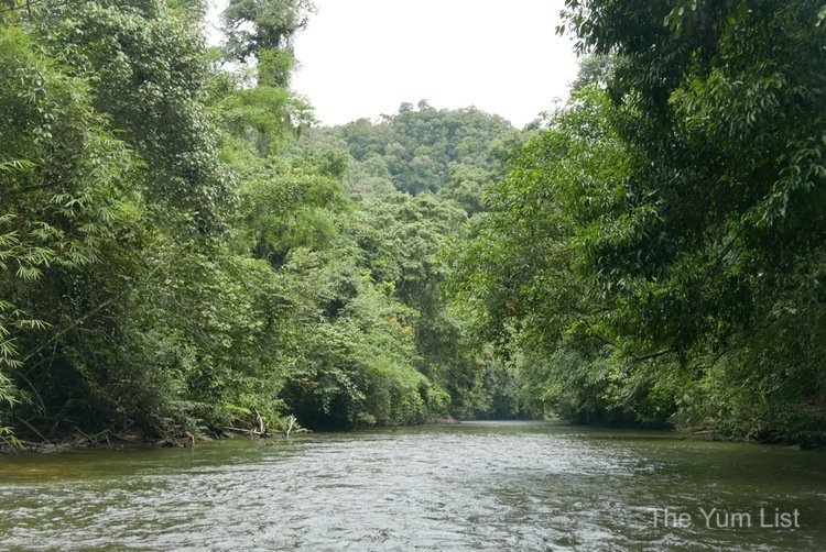 Melinau River