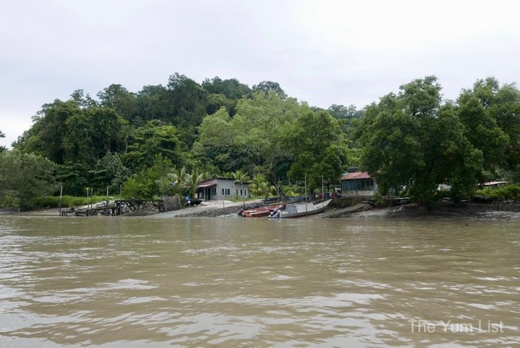 Bako National Park Tour