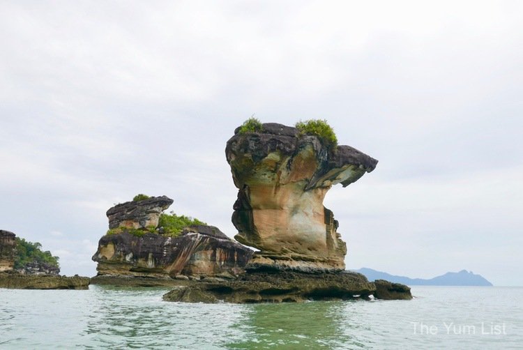 Bako National Park Tour