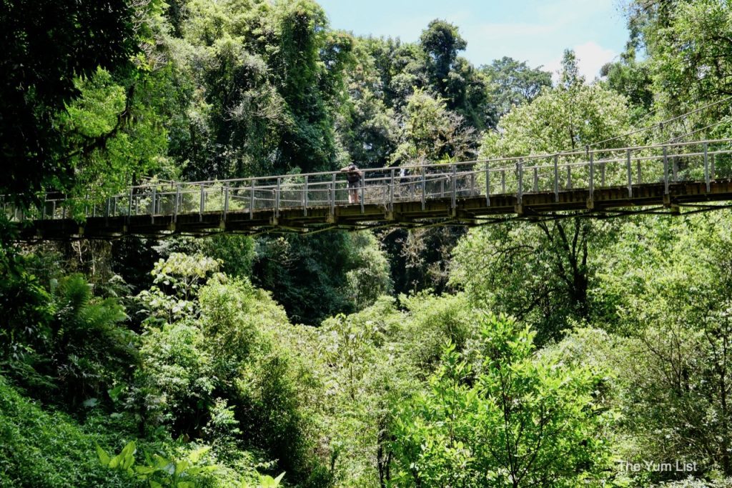 Day Trip from Coffs Harbour