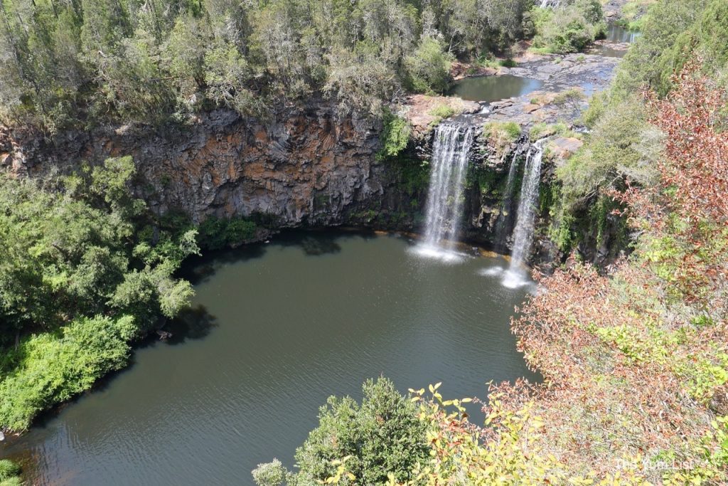 Day Trip from Coffs Harbour