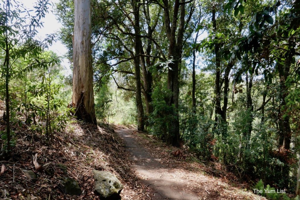 Day Trip from Coffs Harbour