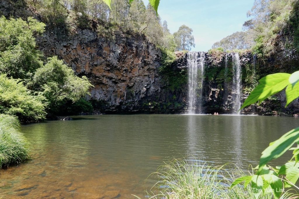 Dangar Falls Day Trip From Coffs Harbour