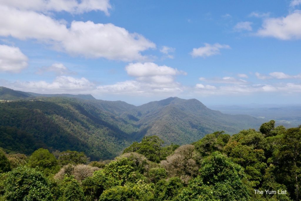 Day Trip from Coffs Harbour