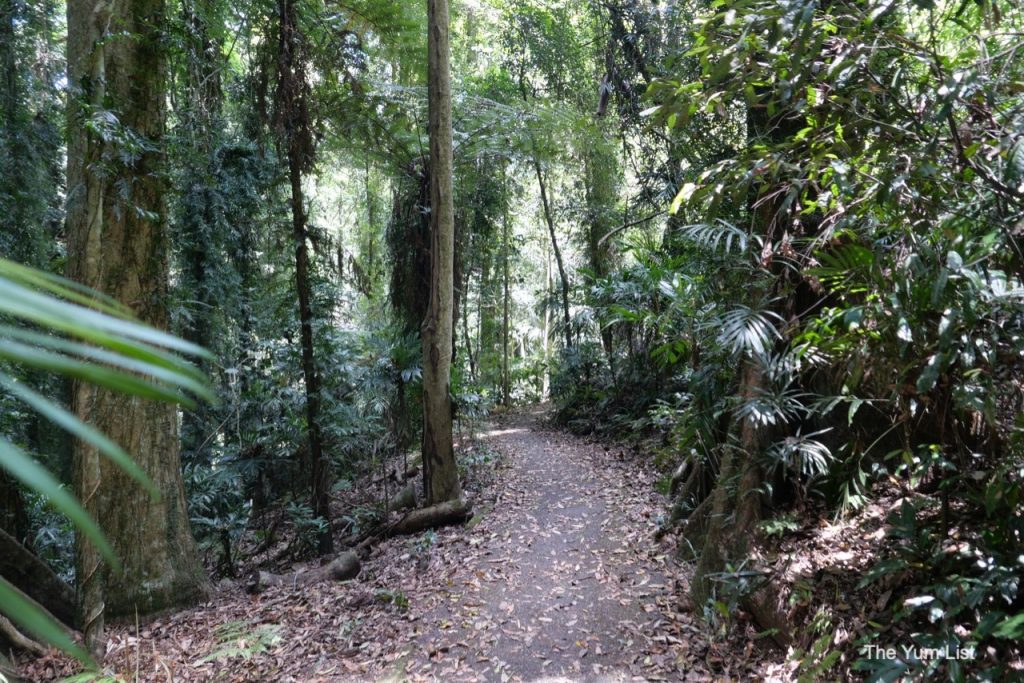 Day Trip from Coffs Harbour