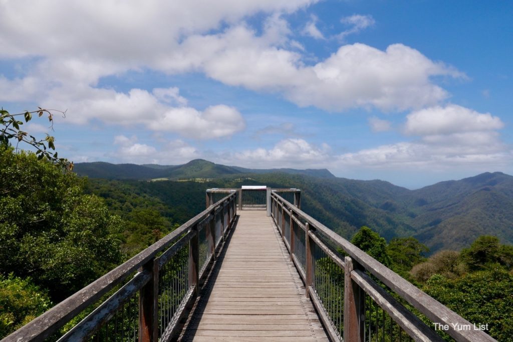 Day Trip from Coffs Harbour