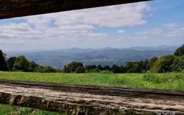 Day Trip from Coffs Harbour