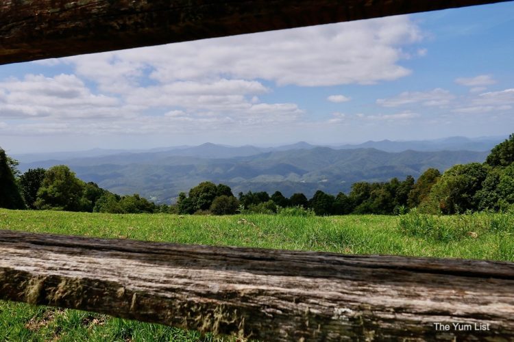 Day Trip from Coffs Harbour